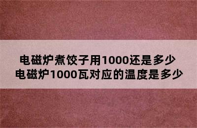 电磁炉煮饺子用1000还是多少 电磁炉1000瓦对应的温度是多少